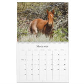 Kalender, wilde dieren, wilde paarden, Verenigde S Kalender (Mar 2026)
