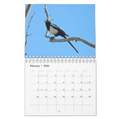 Kalender, wilde dieren, wilde vogels uit Californi Kalender (Feb 2026)