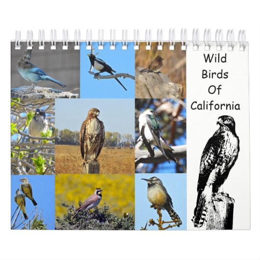 Kalender, wilde dieren, wilde vogels uit Californi Kalender (Hoes)