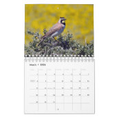 Kalender, wilde dieren, wilde vogels uit Californi Kalender (Mar 2026)