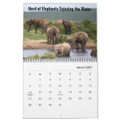 Kalender Wilde Olifanten (Mar 2027)