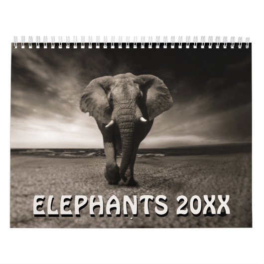 Kalender Wilde Olifanten (Hoes)