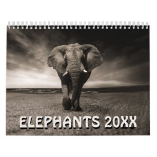 Kalender Wilde Olifanten