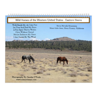 Kalender, Wilde Paarden, Eastern Sierra, Californi Kalender