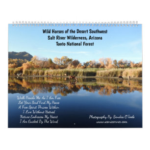 Kalender, wilde paarden, Salt River, Arizona Kalender