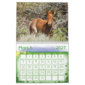 Kalender, wilde paarden uit de Westerne Verenigde Kalender (Mar 2027)