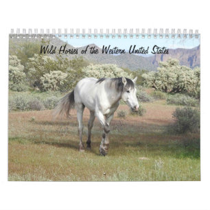 Kalender, wilde paarden uit de Westerne Verenigde  Kalender