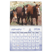 Kalender, wilde paarden uit de Westerne Verenigde  Kalender (Jan 2026)