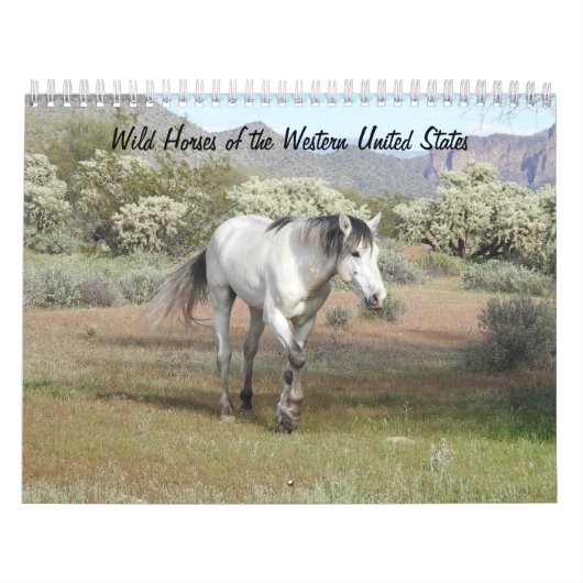 Kalender, wilde paarden uit de Westerne Verenigde  Kalender (Hoes)