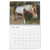 Kalender, wilde paarden van Assateague Island Kalender (Mar 2026)