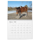 Kalender, wilde paarden van Assateague Island Kalender (Feb 2026)