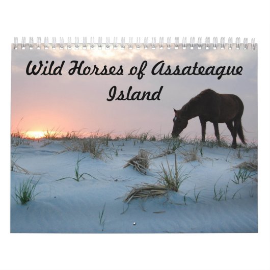 Kalender, wilde paarden van Assateague Island Kalender (Hoes)