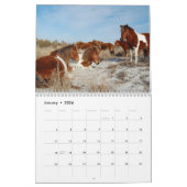 Kalender, wilde paarden van Assateague Island Kalender (Jan 2026)