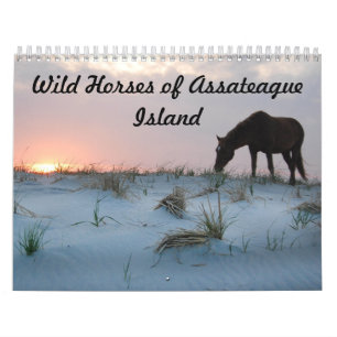 Kalender, wilde paarden van Assateague Island Kalender