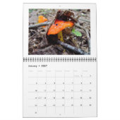 Kalender - Woodland Mushrooms (Jan 2027)