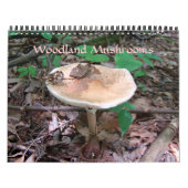 Kalender - Woodland Mushrooms (Hoes)
