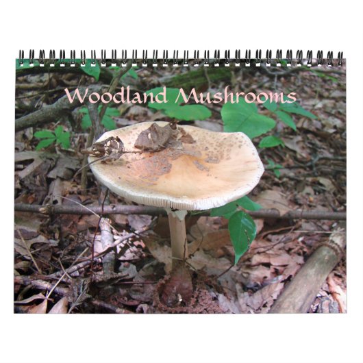 Kalender - Woodland Mushrooms (Hoes)