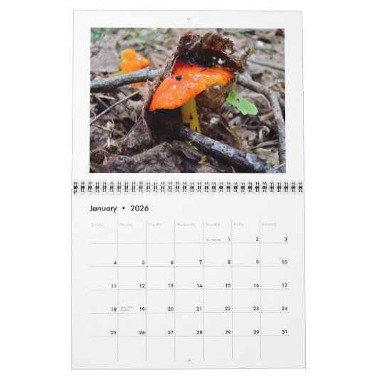 Kalender - Woodland Mushrooms (Jan 2026)