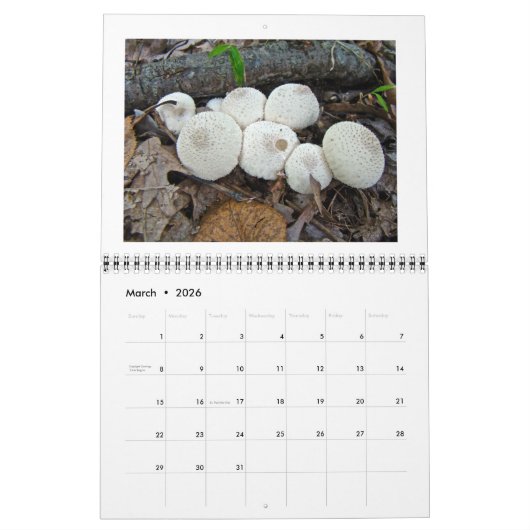 Kalender - Woodland Mushrooms (Mar 2026)