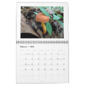 Kalender - Woodland Mushrooms (Feb 2026)