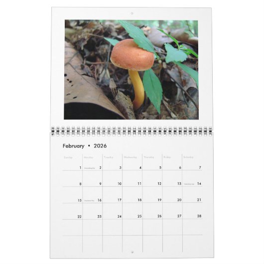 Kalender - Woodland Mushrooms (Feb 2026)