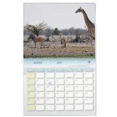 Kalender-Zebra Kalender (Jan 2027)