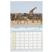 Kalender-Zebra Kalender (Feb 2027)
