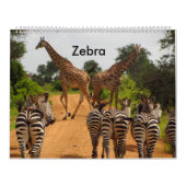 Kalender-Zebra Kalender (Hoes)