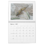 Kalender -  zout water lokt (Feb 2027)