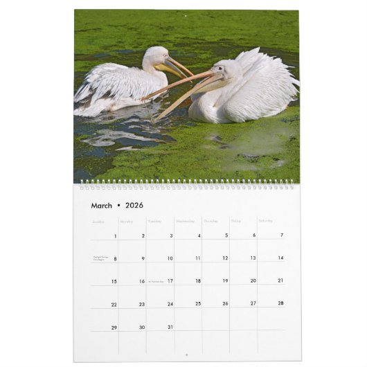 Kalenderbonen 2023 kalender (Mar 2026)