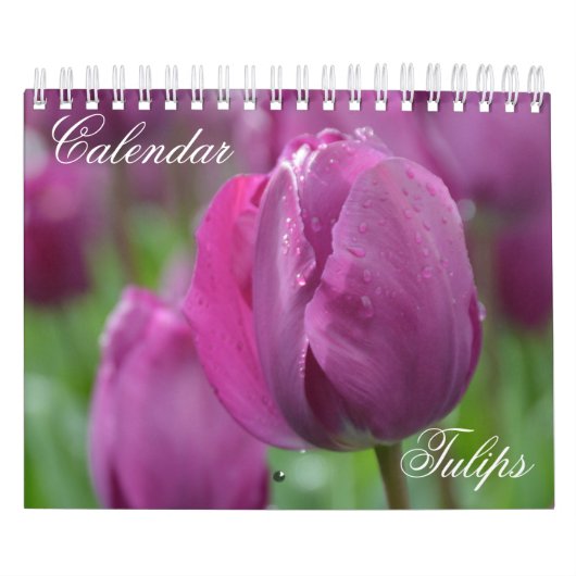 Kalenderbuizen Kalender (Hoes)