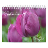 Kalenderbuizen Kalender (Hoes)