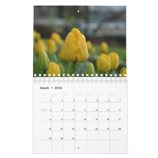 Kalenderbuizen Kalender (Mar 2026)