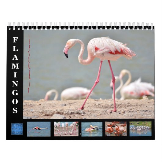kalenderflamingos van 12 maanden kalender (Hoes)