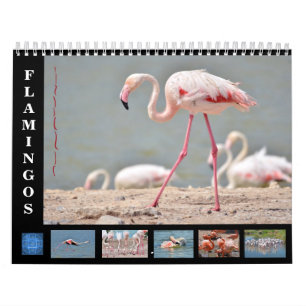 kalenderflamingos van 12 maanden kalender