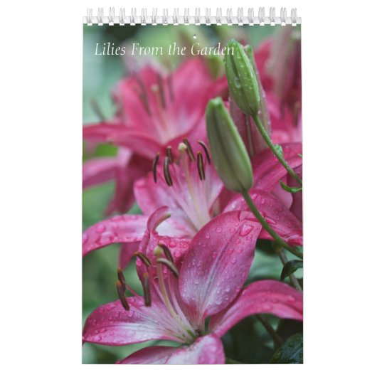 Kalendergalgen uit de tuin kalender (Hoes)