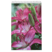 Kalendergalgen uit de tuin kalender (Hoes)