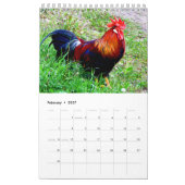 Kalenderjaar 2017 van het rooster kalender (Feb 2027)