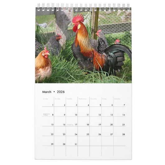Kalenderjaar 2017 van het rooster kalender (Mar 2026)