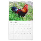 Kalenderjaar 2017 van het rooster kalender (Feb 2026)