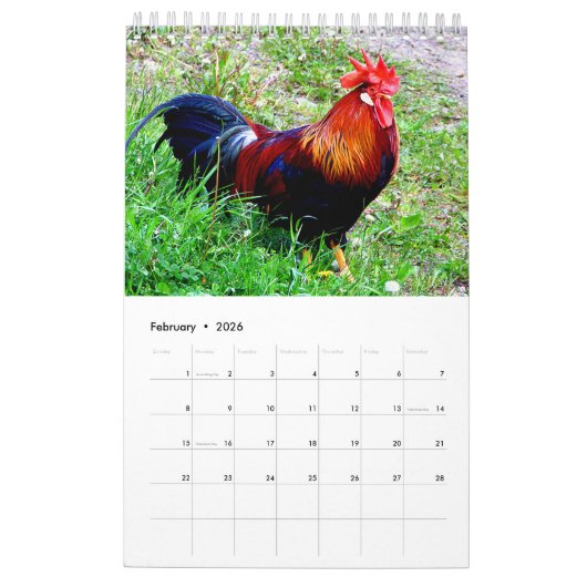 Kalenderjaar 2017 van het rooster kalender (Feb 2026)