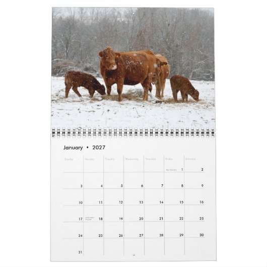Kalenderkoeien 2015 kalender (Jan 2027)