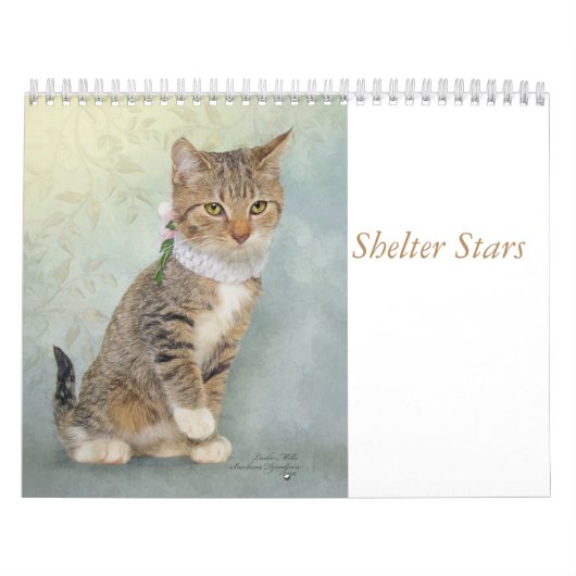 Kalenderkunst met beschutte dieren kalender (Hoes)