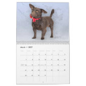 Kalenderkunst met beschutte dieren kalender (Mar 2027)