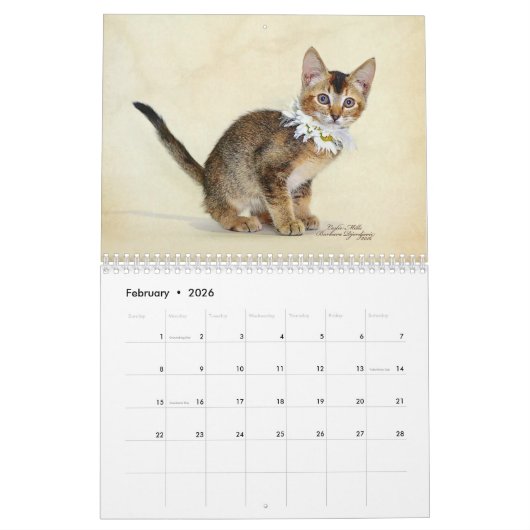 Kalenderkunst met beschutte dieren kalender (Feb 2026)