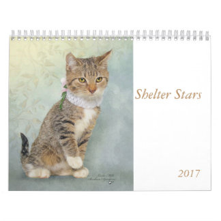 Kalenderkunst met beschutte dieren kalender