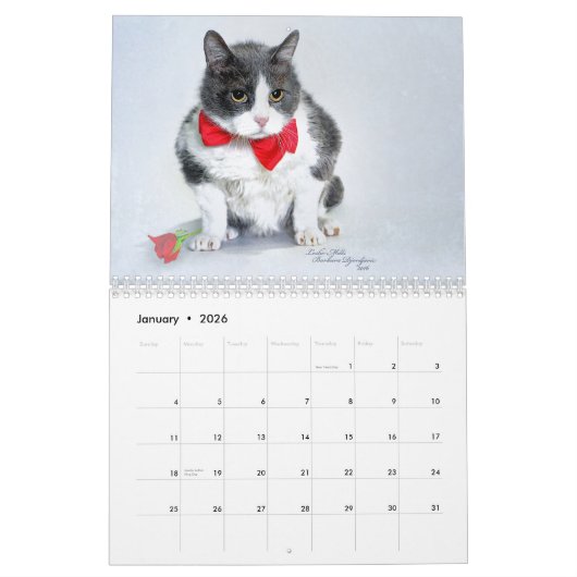 Kalenderkunst met beschutte dieren kalender (Jan 2026)