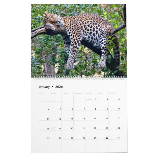 Kalenderlijnen Kalender (Jan 2026)