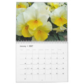 Kalenderpassie voor Pansies Kalender (Jan 2027)