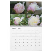 Kalenderponden uit mijn tuin kalender (Jan 2027)